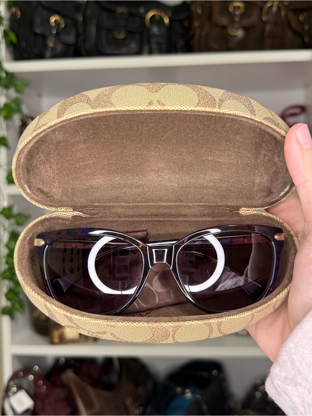 Coach Purple Confetti Sunglasses — open to offers